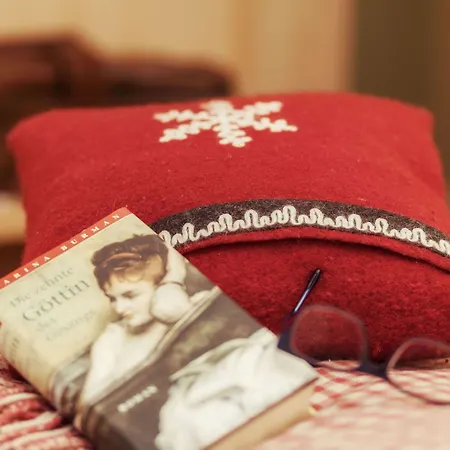 酒店 魅力酒店 采尔马特